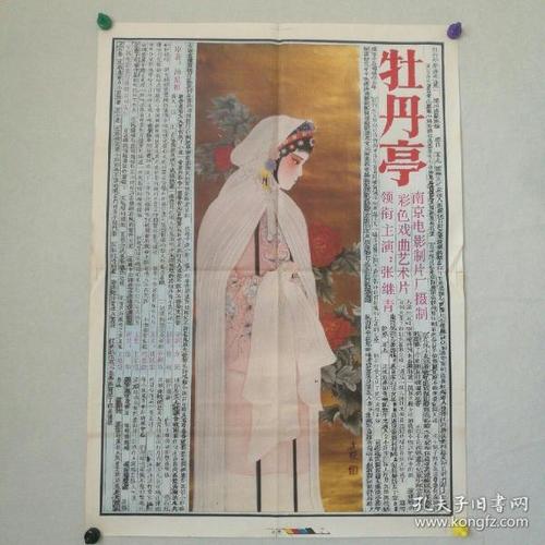 東北文化学園大学degree